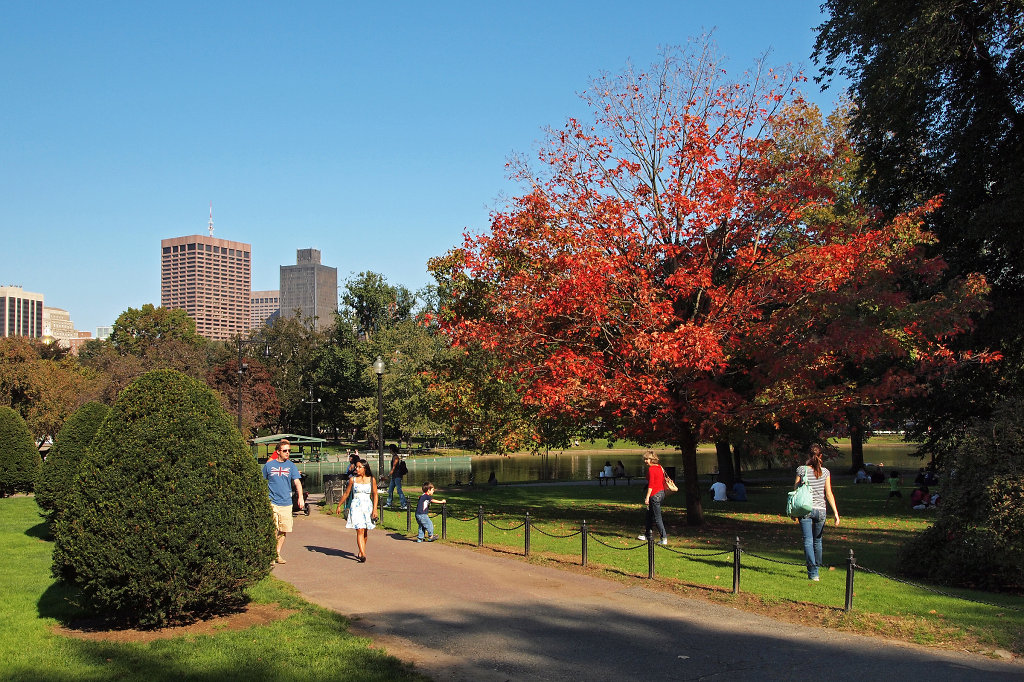 Public Garden in fall