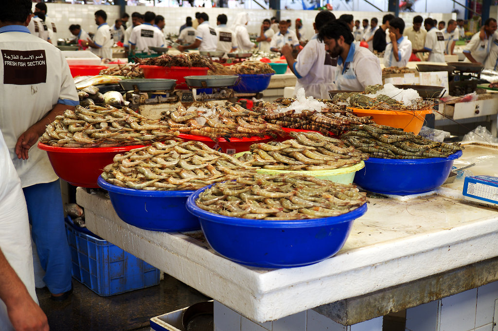 Deira Fish Market