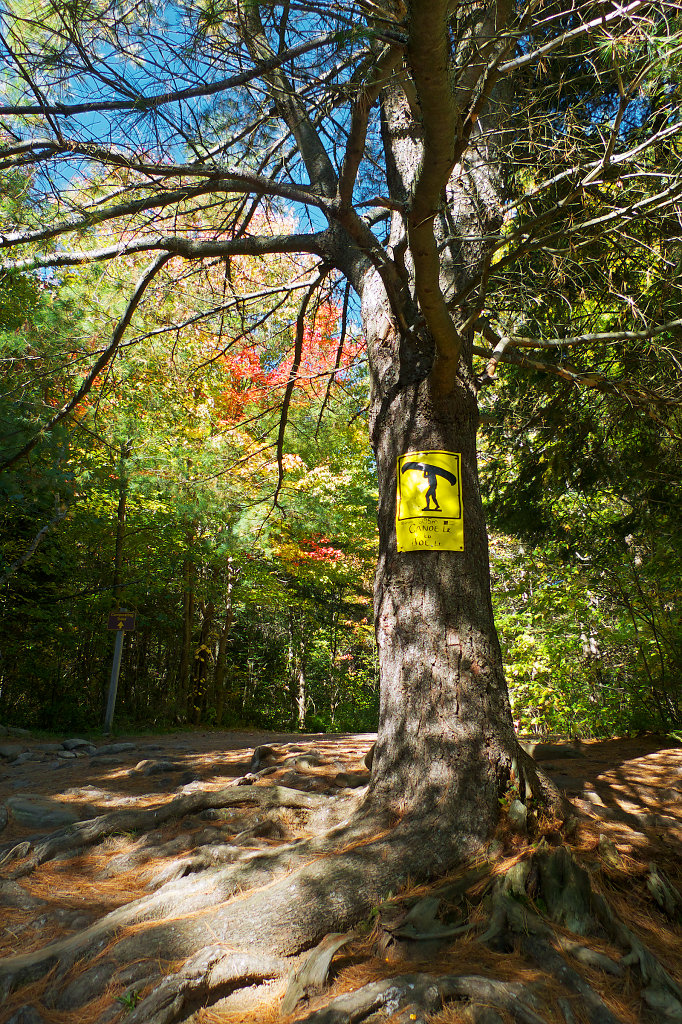 Portage between Canoe Lake and Joe Lake