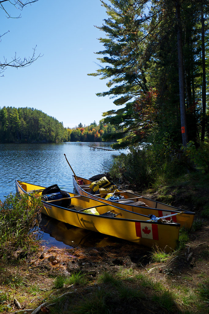 Camp site at the east arm of Joe Lake