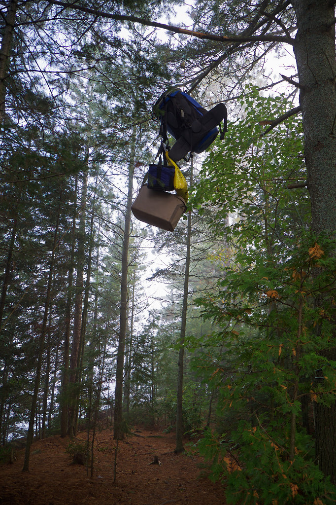 Bear-resistant food storage