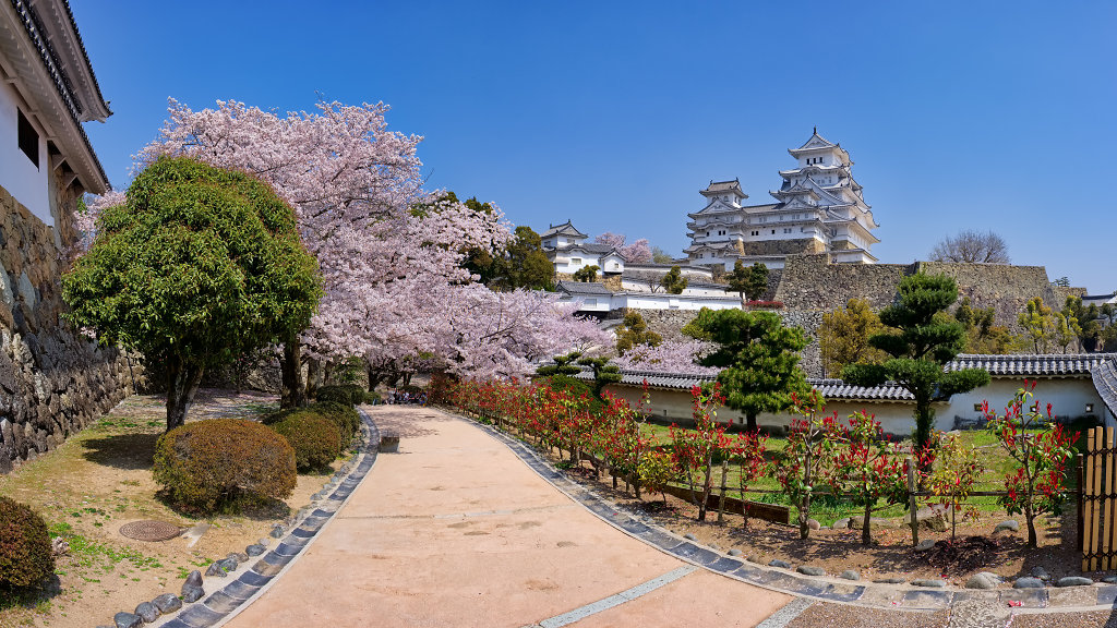 2018-04-03-123802-raw-panorama-export.jpg