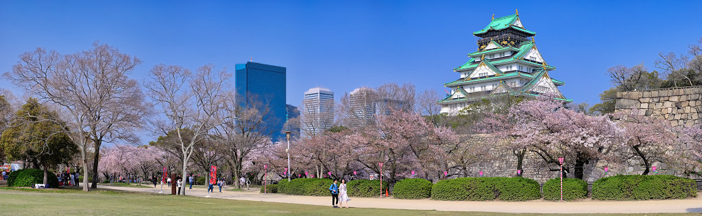 2018-04-02-150547-raw-panorama-export.jpg