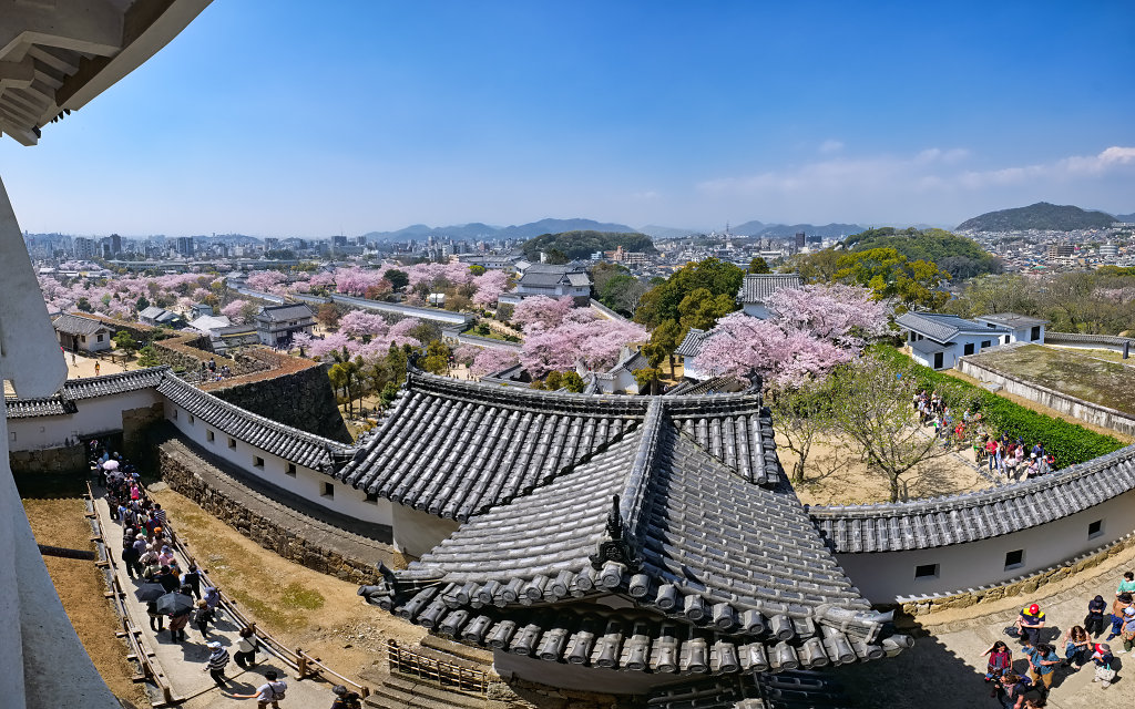 2018-04-03-115418-raw-panorama-export.jpg